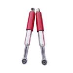 CD70 – Back Shock (Pair)